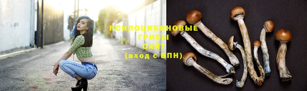 MDMA Premium VHQ Медногорск