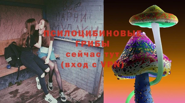 скорость Медвежьегорск
