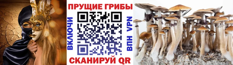 Купить закладки  Сим  Псилоцибиновые грибы MAGIC MUSHROOMS 